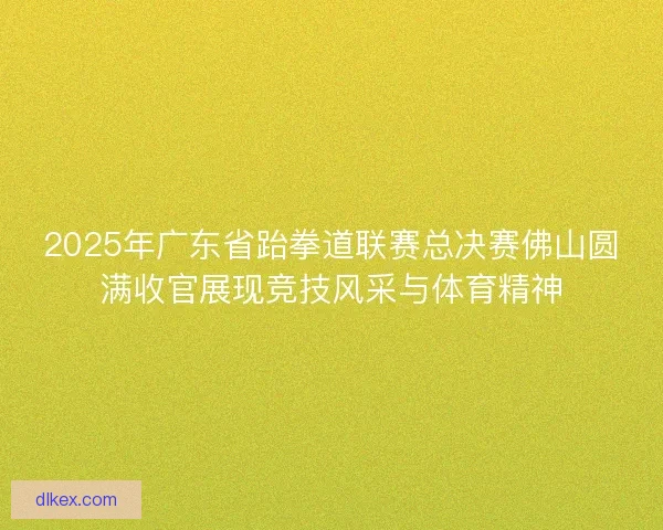 2025年广东省跆拳道联赛总决赛佛山圆满收官展现竞技风采与体育精神