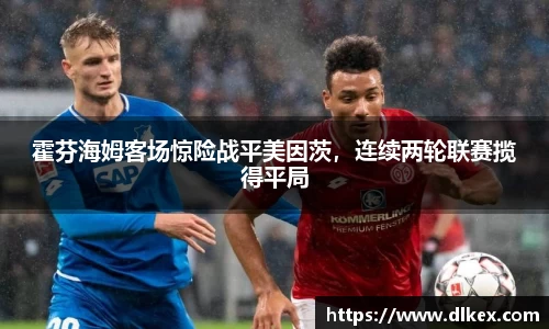 霍芬海姆客场惊险战平美因茨，连续两轮联赛揽得平局
