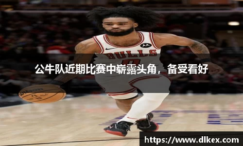 公牛队近期比赛中崭露头角，备受看好