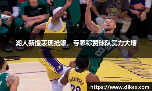 湖人新援表现抢眼，专家称赞球队实力大增